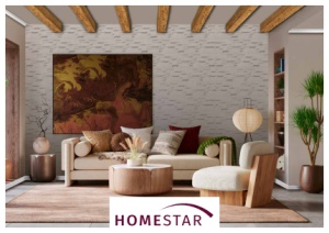 Homstar-Sachex Katalog